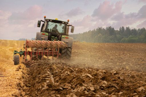 Ce week-end, Luppy accueille Pays’an Fête 2025