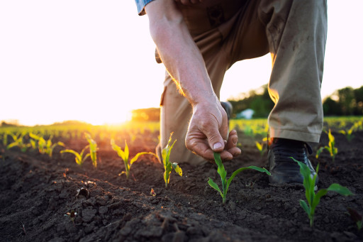 Signature de la charte agricole départementale 2025-2026 à Lunéville