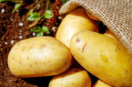 Amiens Show Patate jusqu'au 4 octobre