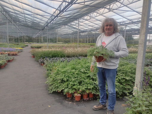 L’esprit colibri des Pépinières Chombart dans la Somme : "Produire beau, produire mieux"