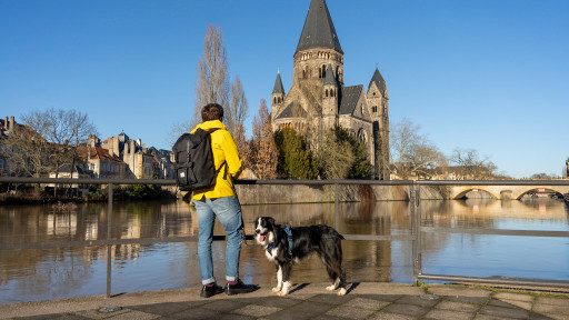La boutique de l'agence Inspire Metz met en vente une pièce de la Monnaie de Paris représentant le Temple Neuf