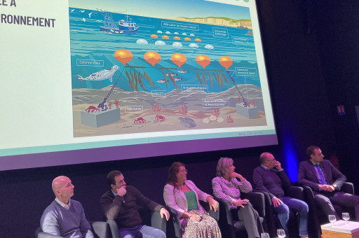 À Boulogne-sur-Mer naît un consortium autour des algues