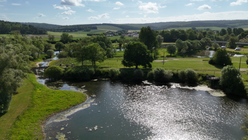 Charny-sur-Meuse : Une ancienne ballastière devient refuge pour la biodiversité