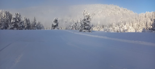 La Bresse-Lispach : l’ouverture du domaine nordique booste le tourisme et l’économie des Vosges
