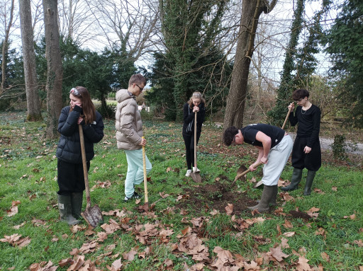 Des jeunes au secours des cyclamens à Ruffey-lès-Beaune