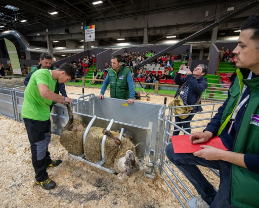 L'Aisne accueille la finale régionale des Ovinpiades des jeunes bergers