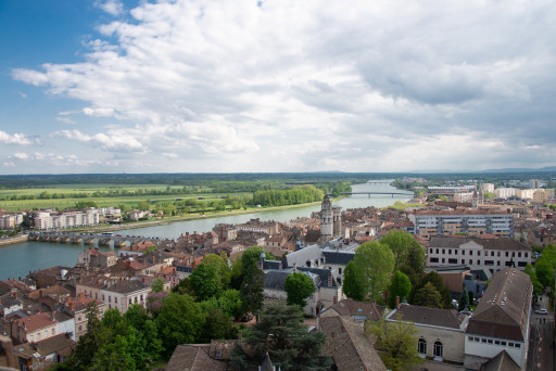 Entretien du patrimoine arboré : Mâcon lance une intervention à grande échelle